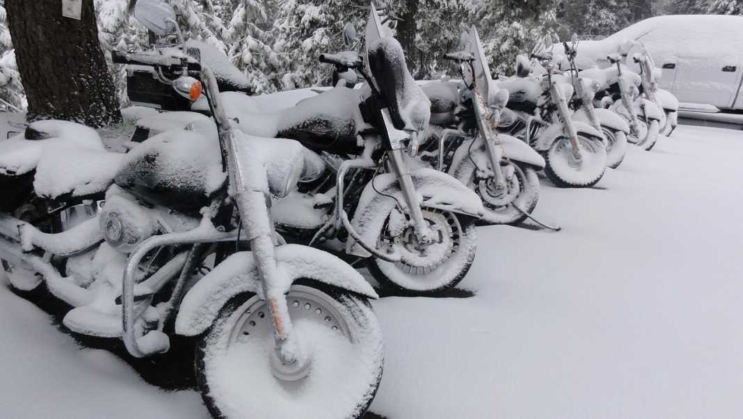 Snow Covered Harley Davidsons