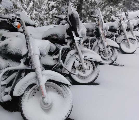 Snow Covered Harley Davidsons