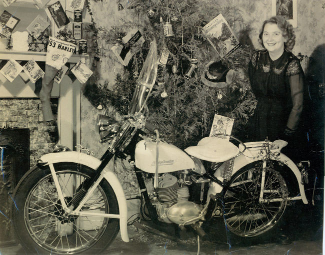 Harley under Christmas Tree