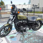 Harley Iron 883 Sportster