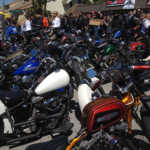 Willies Tropical Tattoo Chopper Show 2017